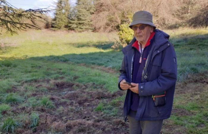 les sangliers font des dégâts dans la ville