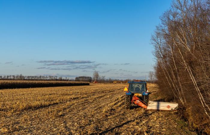 Y a-t-il un besoin pour une usine de propane vert au Québec ?