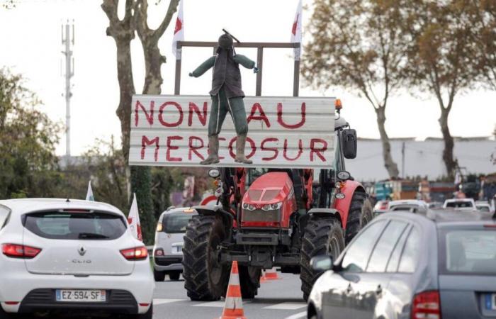 L’accord de l’UE avec le Mercosur provoque la colère des agriculteurs français et le rejet d’un ministre italien