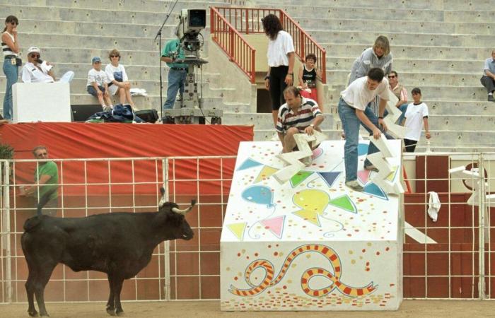 Dans le sillage d’Intervilles, France Télévisions veut limiter l’utilisation des animaux sur les plateaux de tournage