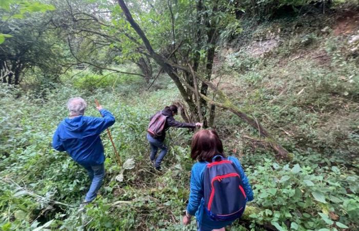 Un homme mort depuis plusieurs semaines découvert à Saint-Hilaire-sur-Helpe