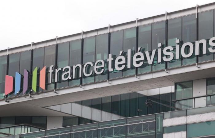 France Télévisions veut limiter l’utilisation des animaux sur les plateaux de tournage