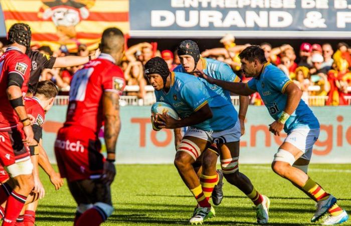 Marvin Orie opéré, retour pour Toulouse, Bruce Devaux proche de la guérison… Les dernières nouvelles de l’infirmerie de l’USAP