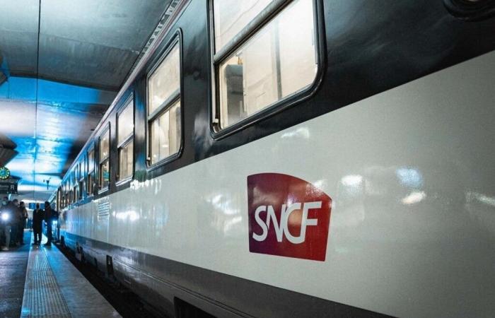 Près de Loos, un homme emprunte un passage à niveau condamné et meurt heurté par un train