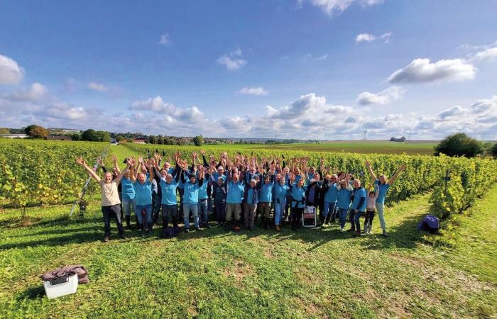 Domaine W, des bulles aussi pour les entreprises