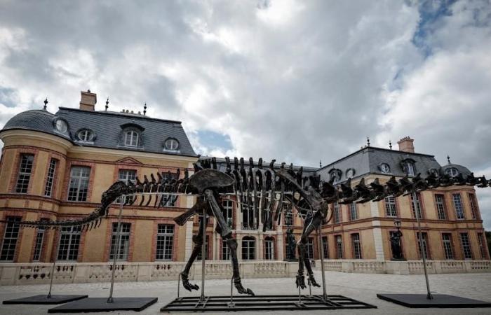 Un squelette de dinosaure géant vendu 4,4 millions de francs en France