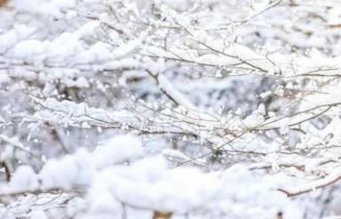 Quel est ce phénomène responsable de la météo de cette semaine ?