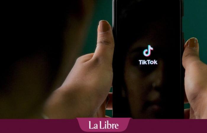 “Il est inacceptable que ce type de contenu sur TikTok soit accessible aux enfants”