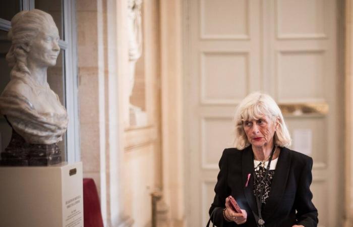 La députée RN Christine Engrand accuse la presse de vouloir la « tuer »