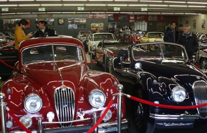 Visite exceptionnelle du salon « Turbo » dans ce garage de la Manche rempli de véhicules anciens