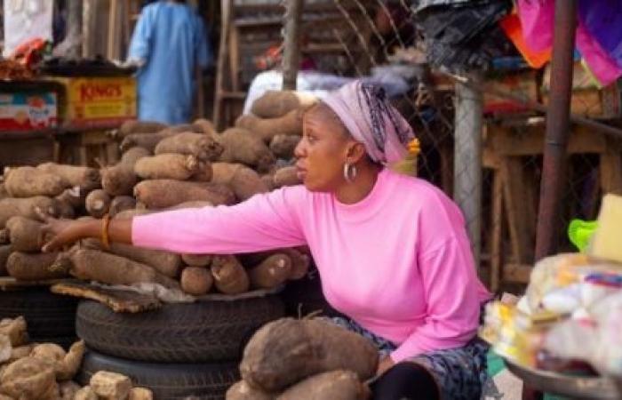 Les stocks alimentaires publics peuvent stabiliser les prix alimentaires en Afrique