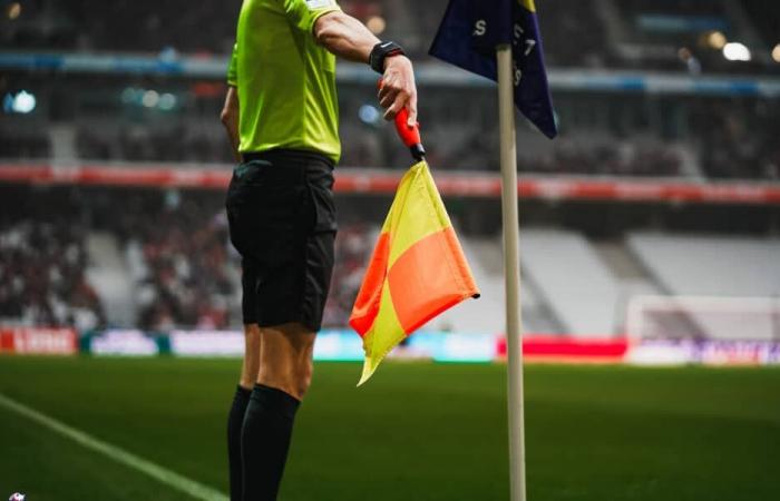 Un arbitre qui ne réussit pas aux Dogues pour le LOSC – Stade Rennais