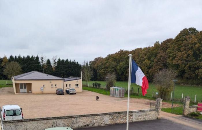 Un sanglier déboule devant la salle des fêtes d’un village du Calvados