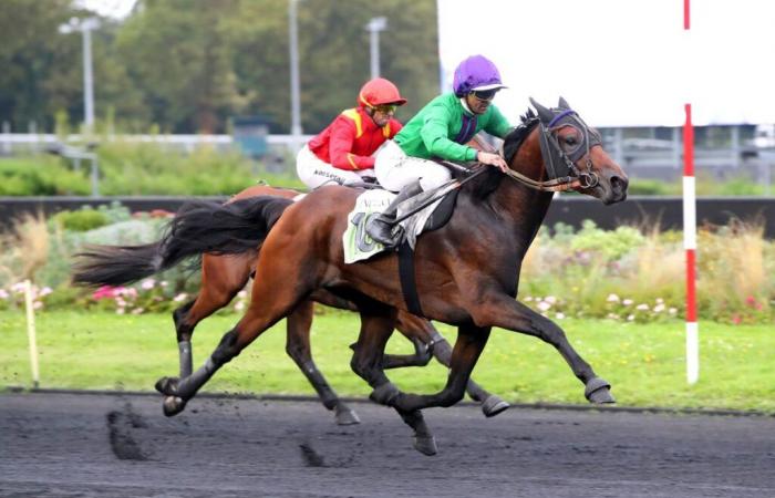 Jeudi à Vincennes – Prix Urgent : Cœur de Lion parmi les participants