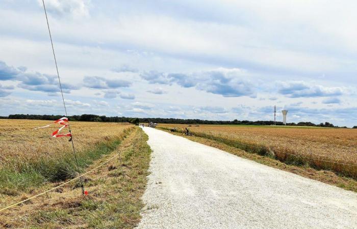 Sentiers blancs de la Pointe du Raz Ladies Classic 2025, une exception en France