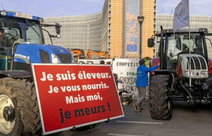 « L’accord entre l’UE et le Mercosur n’est pas le problème de l’agriculture française »