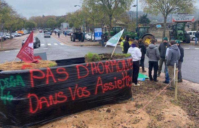 “C’est navrant”, “Stop à l’agricide”, les agriculteurs du Lot dans la rue