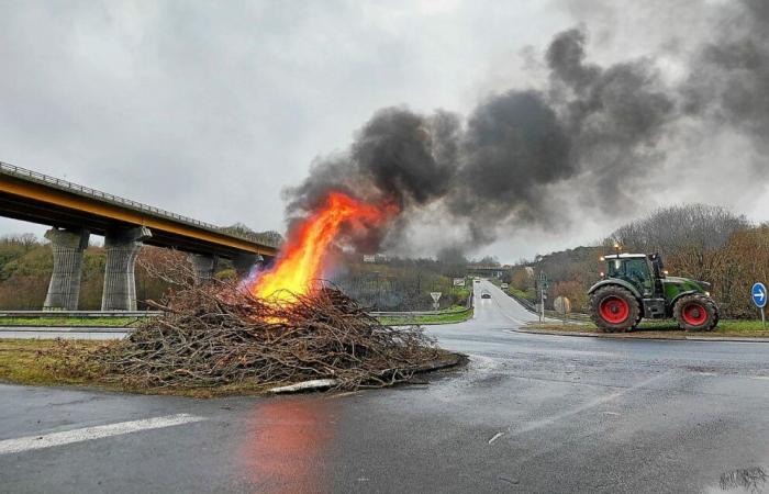 Des « feux de colère » vont s’allumer en Ille-et-Vilaine : les agriculteurs haussent le ton