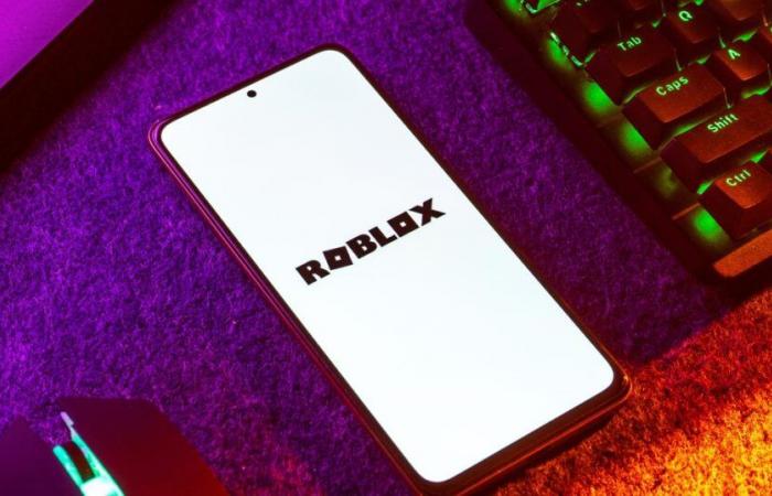 L’éditeur de jeux vidéo Roblox renforce son système de protection des jeunes joueurs