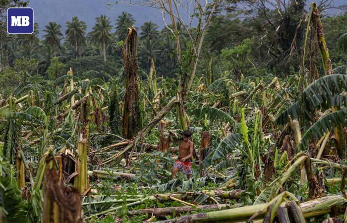 Offensive hivernale en Europe, inondations au Honduras, typhons successifs aux Philippines,… l’actualité météo dans le monde 18/11/2024