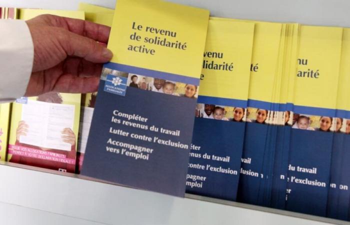 le département durcit les sanctions pour les bénéficiaires du RSA