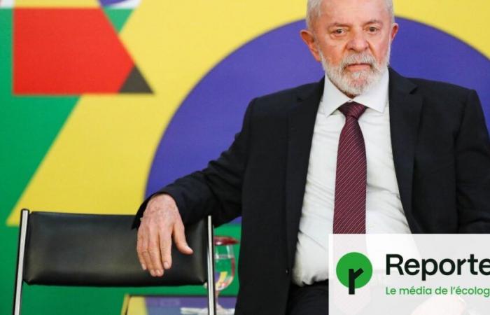 Au Brésil, malgré ses promesses écologiques, Lula promeut le pétrole et la déforestation