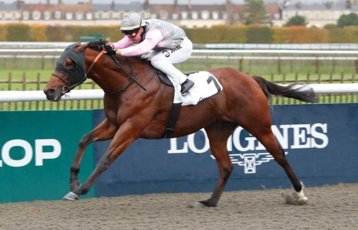 Quinté+ mardi 19 novembre à Chantilly