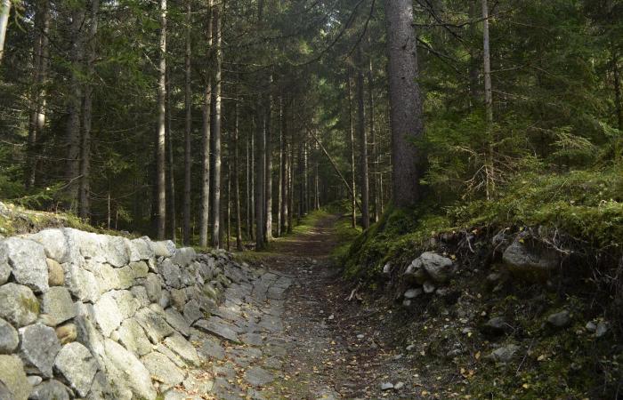 100 ans des Jeux olympiques alpins et un héritage controversé