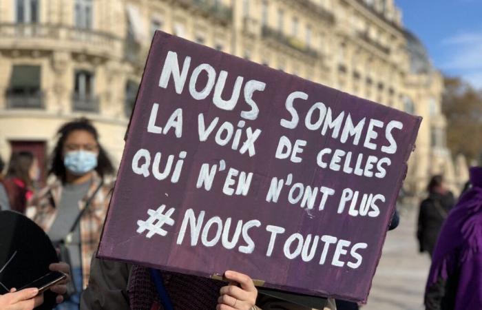 le collectif Nous Tous appelle à manifester ce samedi 23 novembre à Niort