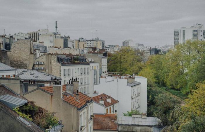 A Paris, un nouveau plan local d’urbanisme pour « passer d’une ville avec jardins à une cité-jardin » – Libération