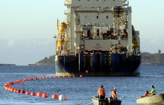 Un deuxième câble de télécommunications endommagé en mer Baltique, l’Allemagne dénonce un « sabotage »