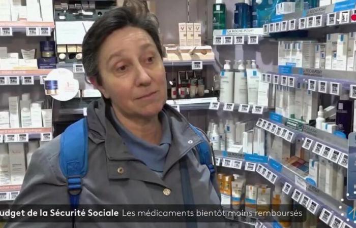 Danielle Moreau, chroniqueuse de « TPMP », passe incognito dans un reportage diffusé sur France 2 et France 3