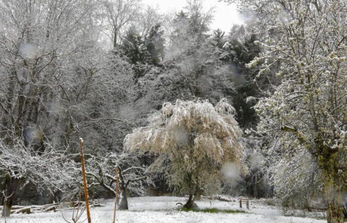 Bulletin météo. Le froid revient, neige annoncée dans les Alpes et peut-être en plaine