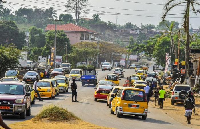 les prix du marché explosent à Buea dans la zone anglophone – SOCIÉTÉ