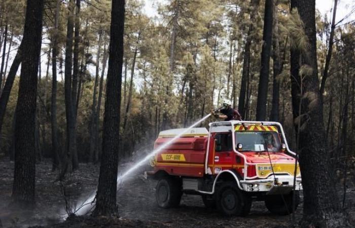 L’année 2023 fait partie des cinq années les plus touchées par les incendies de forêt en Europe, selon un rapport de la Commission