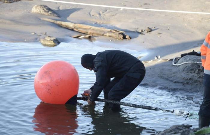 Ce que l’on sait de la rupture du câble sous-marin de télécommunications reliant la Finlande à l’Allemagne