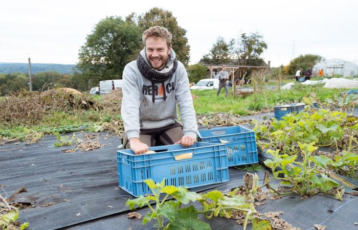 Pour renforcer l’agriculture paysanne, des volontaires belges investissent les champs