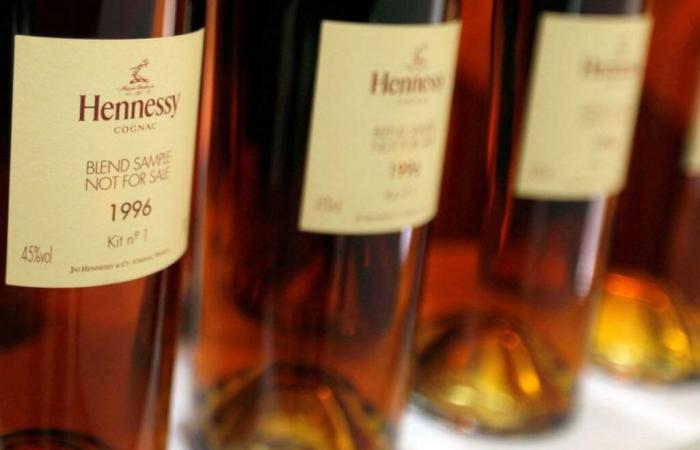 En grève, les salariés d’Hennessy dénoncent un projet de délocalisation en Chine – 19/11/2024 à 13h26