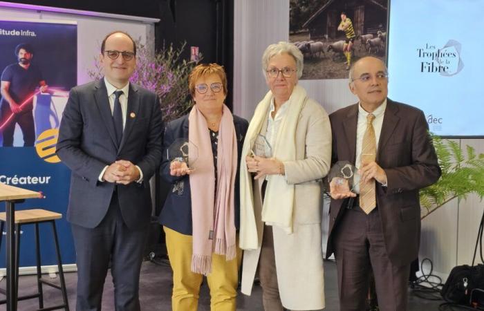 Les Trophées Fibre 2024 célèbrent le développement numérique des Landes – Landes Info