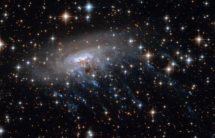 La Voie Lactée transforme cette galaxie qui la touche en méduse cosmique