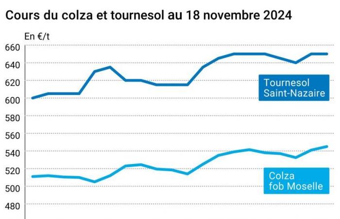 Oléagineux – Le pétrole soutient les prix du colza et du soja