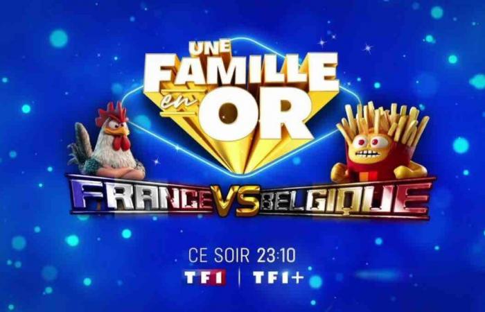 qui sont les invités de Camille Combal ce soir sur TF1 ?