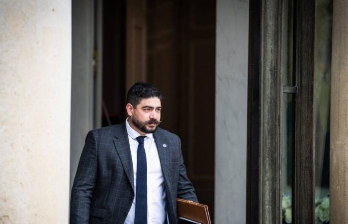 un récent rapport relativise (encore) les propos du ministre Kasbarian – Libération