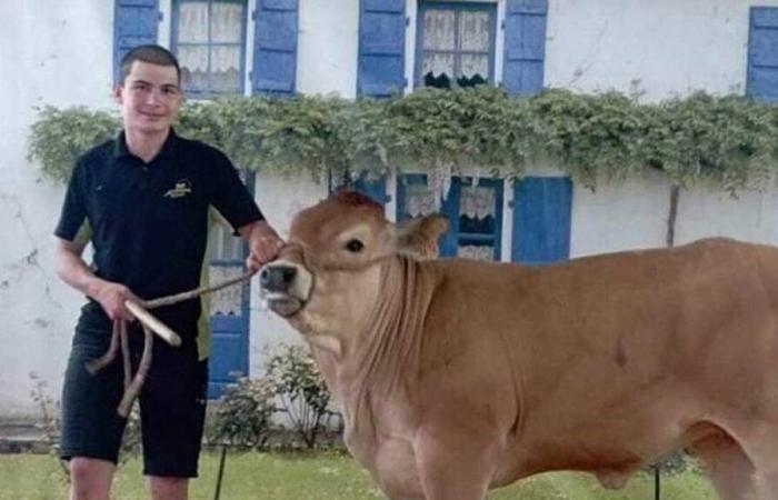 Près de Parthenay. A 16 ans, il tente sa chance à l’élection de Monsieur Agricole