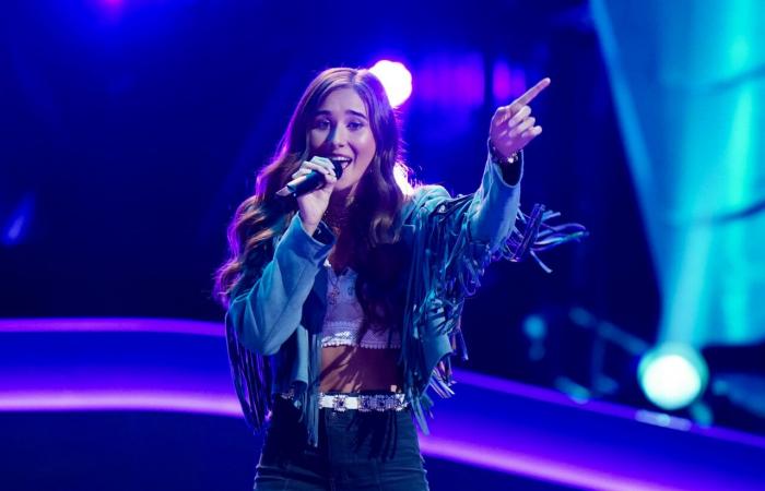 Aperçu du Top 20 des Playoffs de The Voice 26 (Photos, Vidéo)