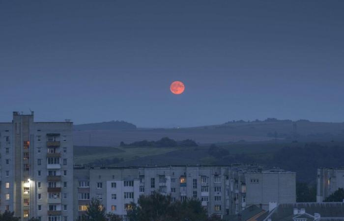 pour les 1000 jours de guerre en Ukraine, les doutes des habitants de Lviv