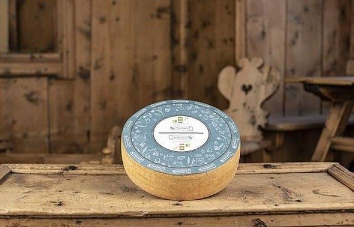 Voici les meilleurs fromages du monde, et il y a des suisses