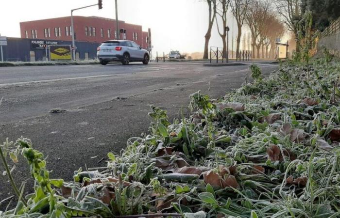 le plan hiver activé sur les routes