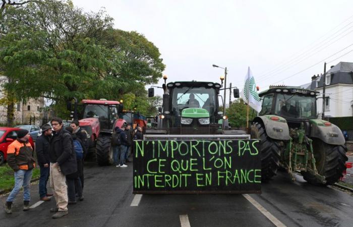 Quel est l’accord entre l’Union européenne et le Mercosur ? Comprendre en trois minutes