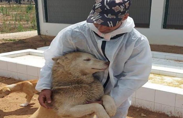 Des militants proposent une loi sur la protection des animaux